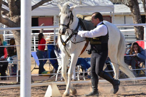 Debacs Equestrian Center home for the horses of The Gala of the Royal Horses