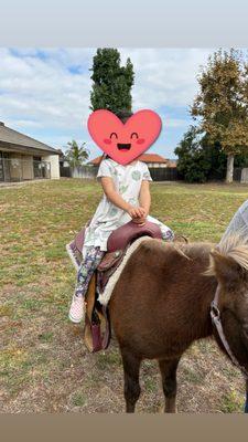 Pony rides at the school harvest festival!