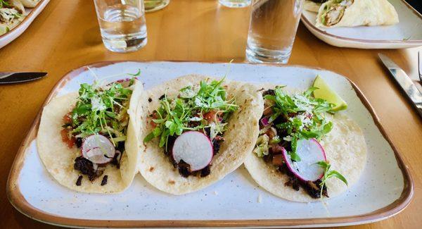 Duck Carnitas tacos