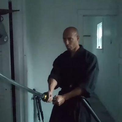 Shadow Hawk koga Ryu Ninjutsu Training