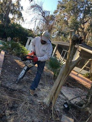 Tree removal