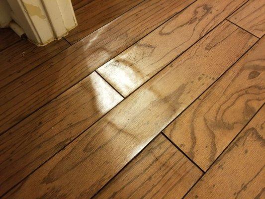 Water Damage to laminate flooring