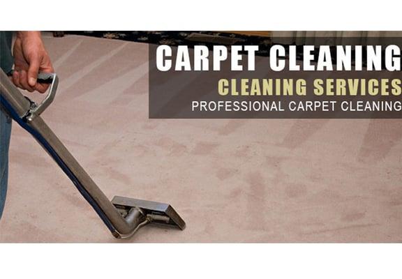 Tampa Carpet Care