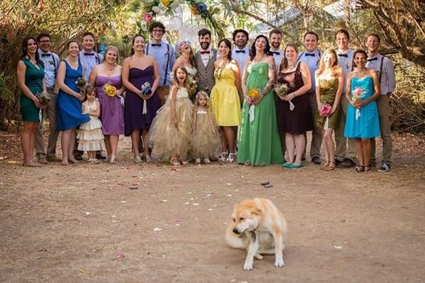 Rocket steals the show at The Fire Garden.