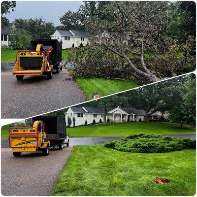 Great job, Thank you!! KVN the best tree services company.