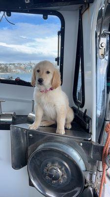 Little helper jades first time on the Lobster Boat