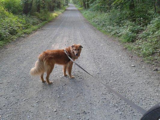 Out for a walk