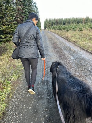 A lady with a saw and a large dog