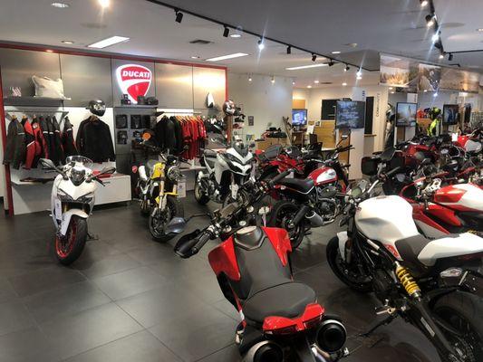 Looking for a new Ducati or some gear for your Ducati rider?  Stop by and check out our Ducati showroom