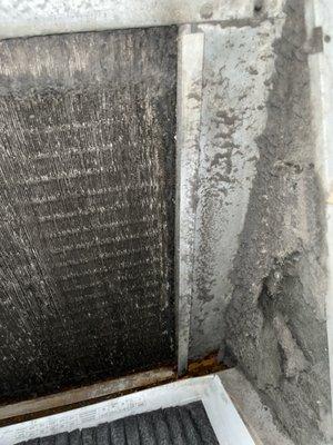 AC testing positive for mold and mildew.