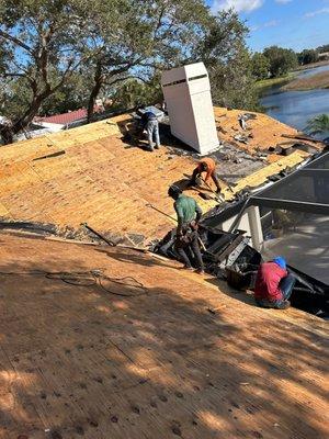 roof repalcement contractors Sarasota Florida