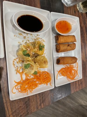 Spring Rolls and Steamed Thai Dumplings