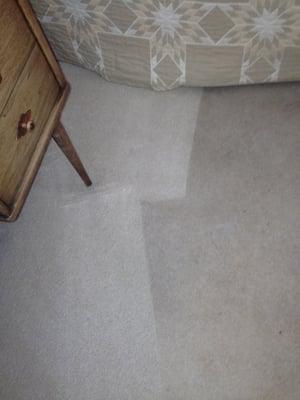 Dave's Carpet Care - Carpet Cleaning..