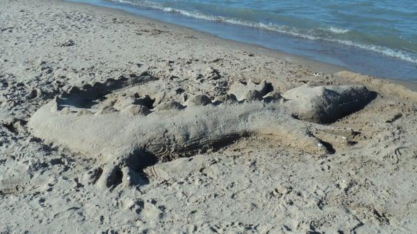 I was walking along the beach and stumbled upon this sand gator.  I thought it was pretty cool!