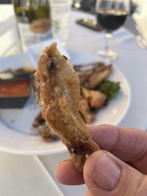 Smallest chicken wing ever