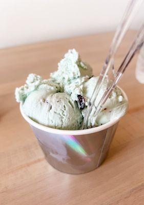 Mint chocolate chip gelato