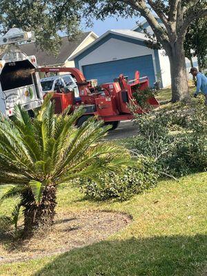 Wood chipper in action