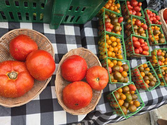 Tiemann's Tasty Produce fresh naturally-grown localTexas produce!