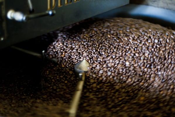 Freshest roasted & best tasting gourmet coffee beans from Seattle Gourmet Coffee. We make "A World of Difference"