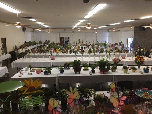 Riverside Community Flower Show 2017