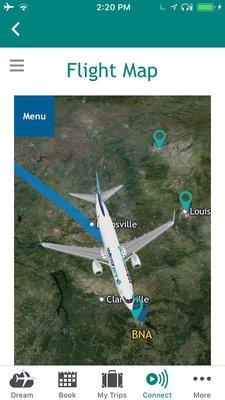 In flight tracker