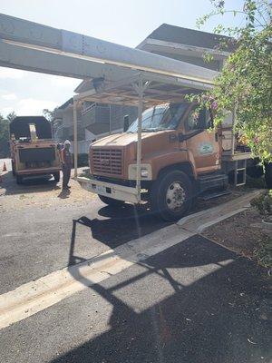 Morons hired by other morons at HOA to kill protected species... I mean "trim trees"