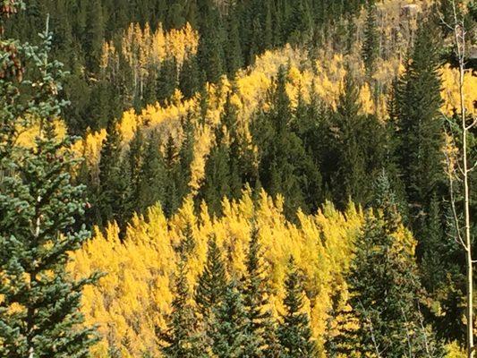 Otoño en Boulder