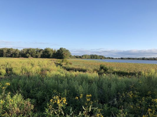 Chippewa Lake view from the end of the path at Krabill