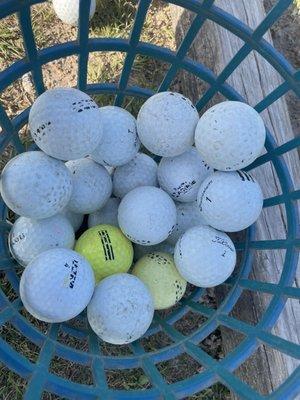 Home of retired golf balls!