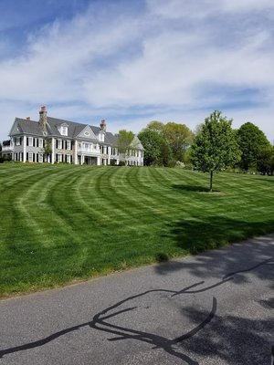 Lawn Solutions