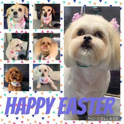 Some of my Easter dogs