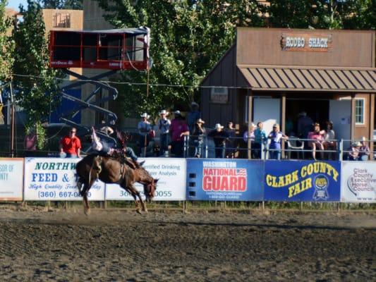 Bareback Riding - Vancouver Rodeo