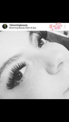 Volume lashes, very classy and elegant. We use the best products made here in the U.S. for lashes! happy client happy business.