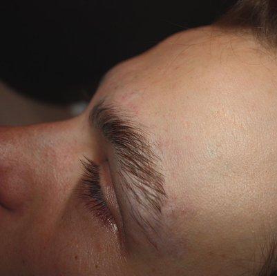 Eyebrow Lamination & Wax