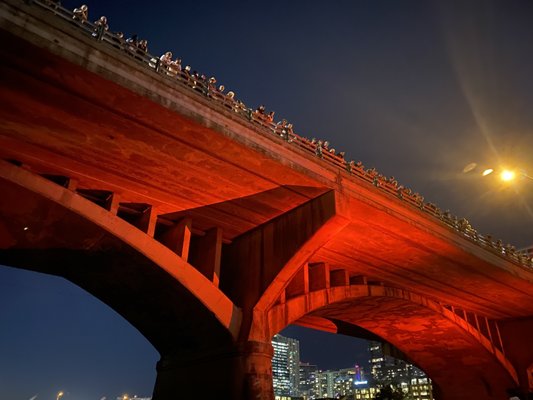 Bat bridge with red light.