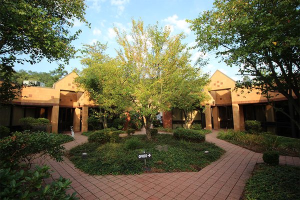 Beautifully landscaped and manicured courtyard