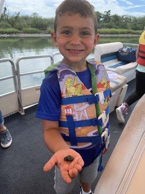 found a sea snail on our family adventure at Bunker Marina