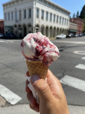 Berry cheesecake Jr. Scoop Ice Cream