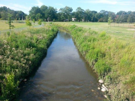 West Fork of Chicago River North Branch, View From Bridge