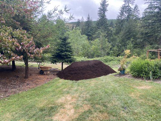 Fresh mulch delivered and placed exactly where I asked.