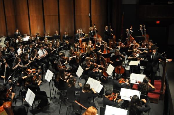 The Cumberland Orchestra led by conductor Octavio Mas-Arocas