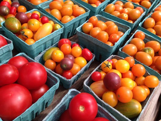 Serene Green Farm Stand