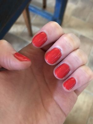 Gel manicure a day after - very pleased!