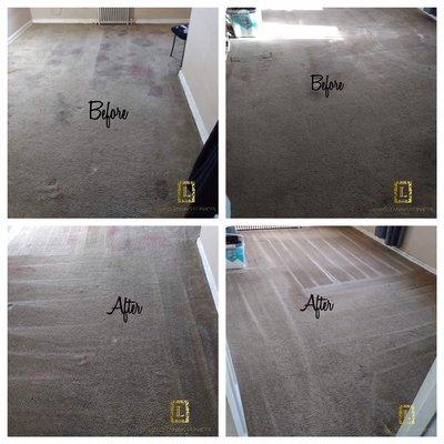 Carpet Cleaning