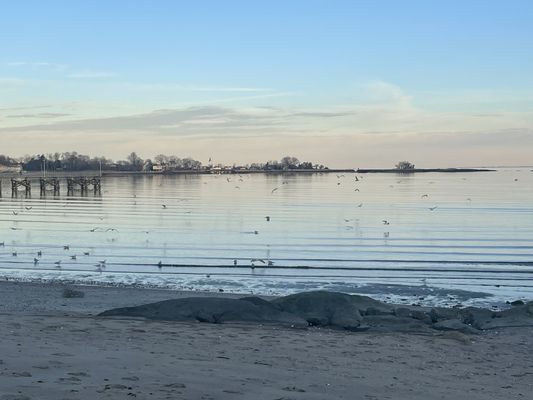 Right before sunset and all of the sea birds were flying away