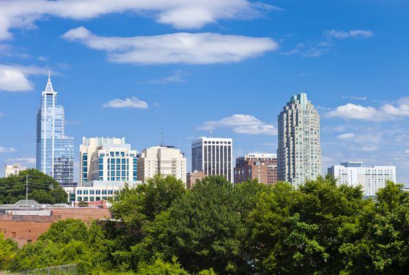 Raleigh, NC CFO services