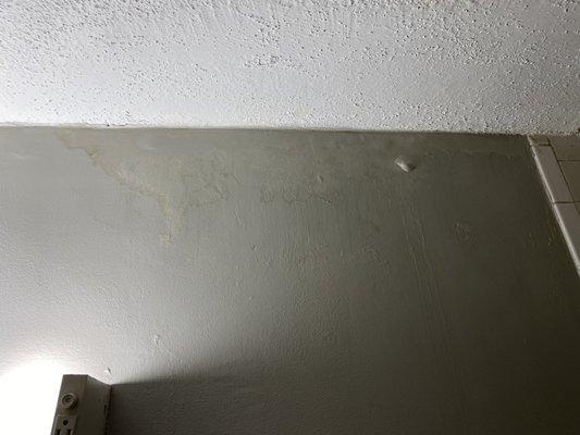 Moldy wall