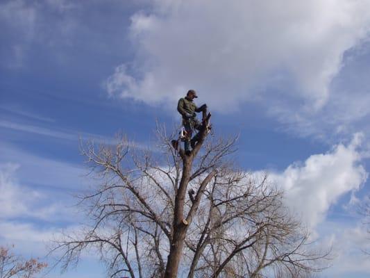 ARBORIST, LOGGER, SAWYER, CLIMBER, HOTSHOT