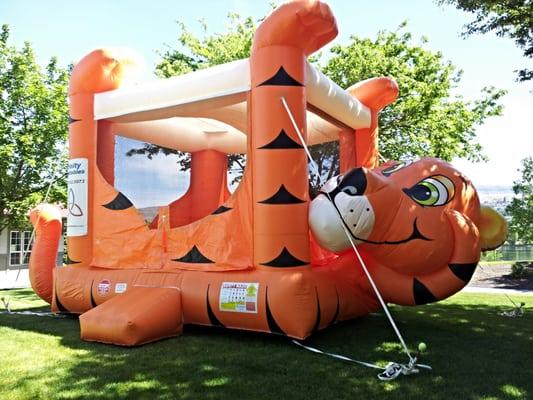 Trinity Inflatables