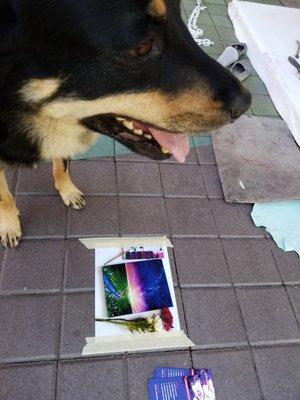 Alley likes what the painting will become.